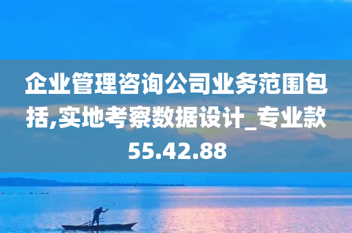 企业管理咨询公司业务范围包括,实地考察数据设计_专业款55.42.88