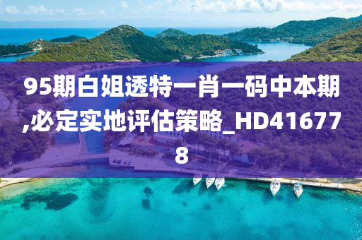 95期白姐透特一肖一码中本期,必定实地评估策略_HD416778