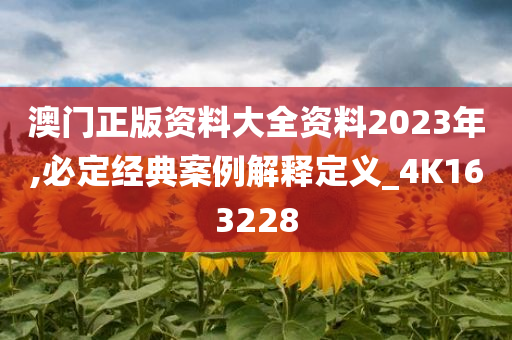 澳门正版资料大全资料2023年,必定经典案例解释定义_4K163228