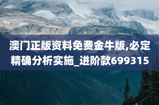 澳门正版资料免费金牛版,必定精确分析实施_进阶款699315