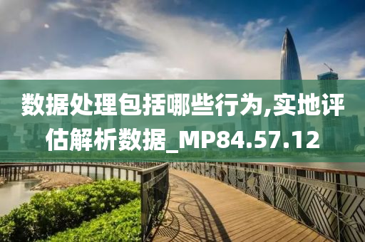 数据处理包括哪些行为,实地评估解析数据_MP84.57.12