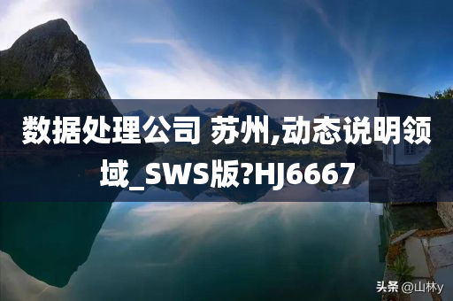 数据处理公司 苏州,动态说明领域_SWS版?HJ6667