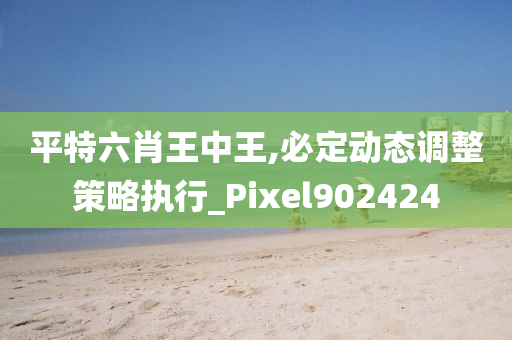 平特六肖王中王,必定动态调整策略执行_Pixel902424