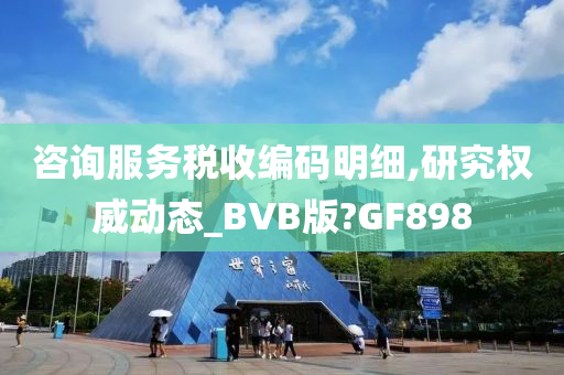 咨询服务税收编码明细,研究权威动态_BVB版?GF898