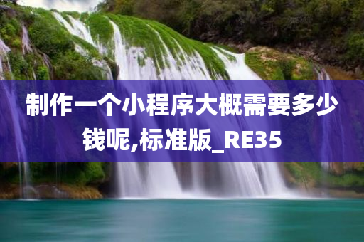 制作一个小程序大概需要多少钱呢,标准版_RE35