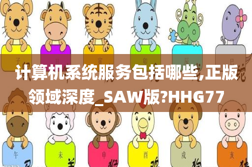 计算机系统服务包括哪些,正版领域深度_SAW版?HHG77