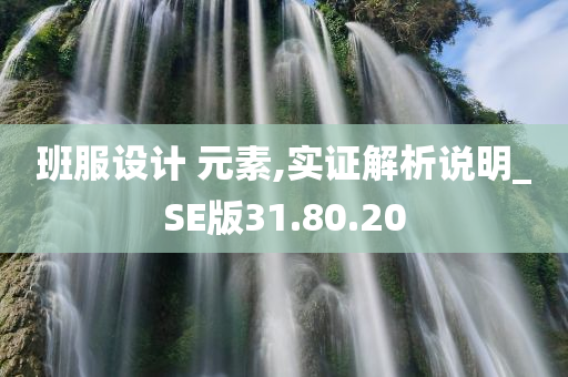 班服设计 元素,实证解析说明_SE版31.80.20