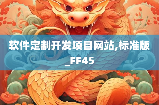 软件定制开发项目网站,标准版_FF45