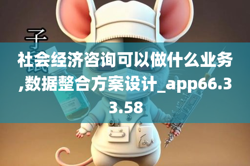 社会经济咨询可以做什么业务,数据整合方案设计_app66.33.58