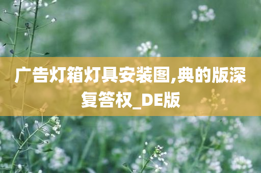 广告灯箱灯具安装图,典的版深复答权_DE版