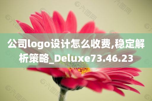 公司logo设计怎么收费,稳定解析策略_Deluxe73.46.23