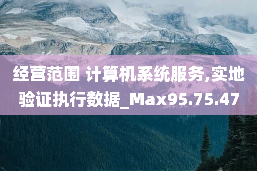 经营范围 计算机系统服务,实地验证执行数据_Max95.75.47