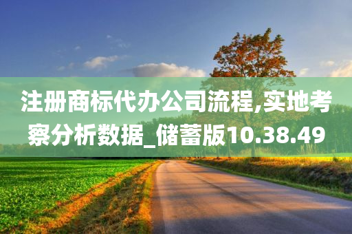 注册商标代办公司流程,实地考察分析数据_储蓄版10.38.49