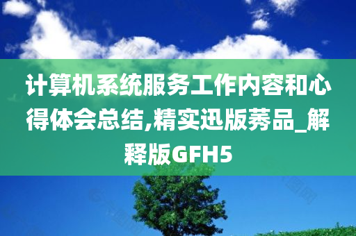 计算机系统服务工作内容和心得体会总结,精实迅版莠品_解释版GFH5