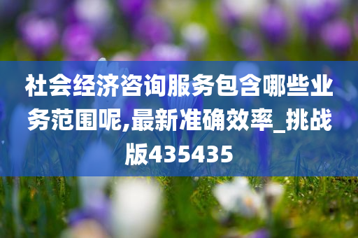 社会经济咨询服务包含哪些业务范围呢,最新准确效率_挑战版435435