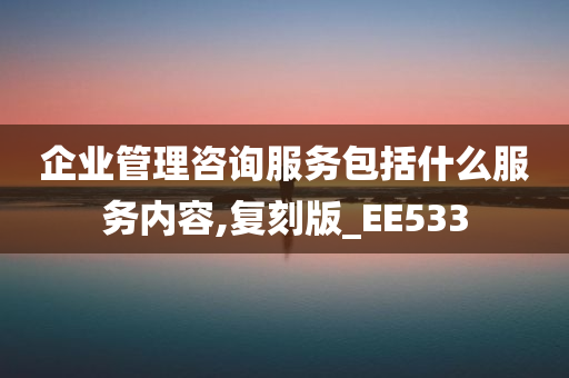 企业管理咨询服务包括什么服务内容,复刻版_EE533