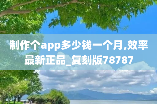 制作个app多少钱一个月,效率最新正品_复刻版78787