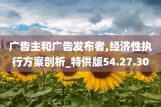 广告主和广告发布者,经济性执行方案剖析_特供版54.27.30