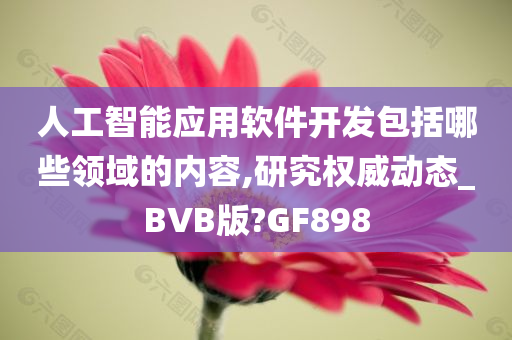 人工智能应用软件开发包括哪些领域的内容,研究权威动态_BVB版?GF898