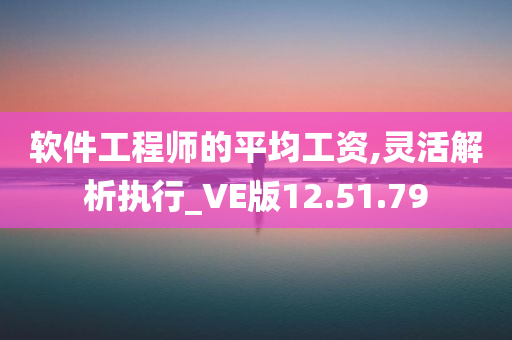 软件工程师的平均工资,灵活解析执行_VE版12.51.79