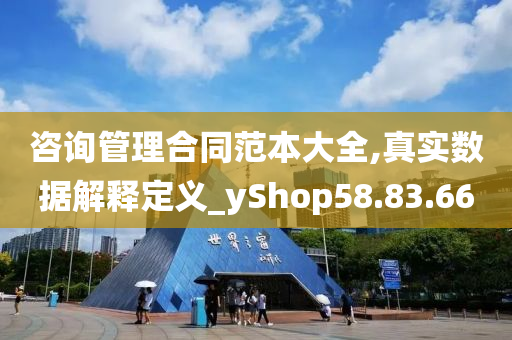 咨询管理合同范本大全,真实数据解释定义_yShop58.83.66