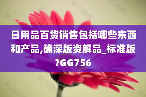 日用品百货销售包括哪些东西和产品,确深版资解品_标准版?GG756