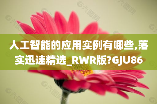 人工智能的应用实例有哪些,落实迅速精选_RWR版?GJU86