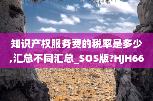 知识产权服务费的税率是多少,汇总不同汇总_SOS版?HJH66