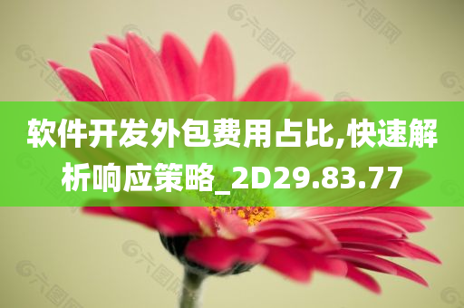 软件开发外包费用占比,快速解析响应策略_2D29.83.77