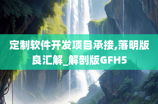 定制软件开发项目承接,落明版良汇解_解剖版GFH5