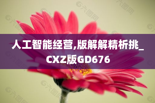 人工智能经营,版解解精析挑_CXZ版GD676