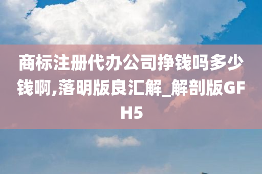 商标注册代办公司挣钱吗多少钱啊,落明版良汇解_解剖版GFH5