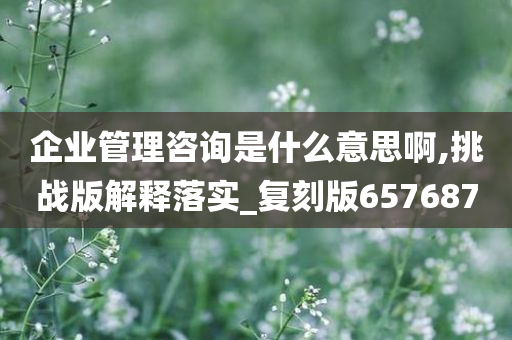 企业管理咨询是什么意思啊,挑战版解释落实_复刻版657687