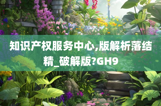 知识产权服务中心,版解析落结精_破解版?GH9