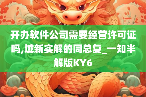 开办软件公司需要经营许可证吗,域新实解的同总复_一知半解版KY6