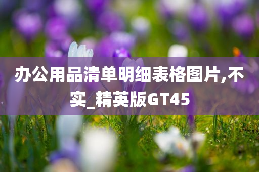 办公用品清单明细表格图片,不实_精英版GT45