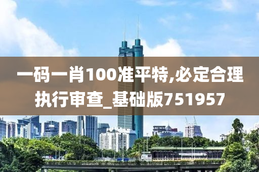 一码一肖100准平特,必定合理执行审查_基础版751957