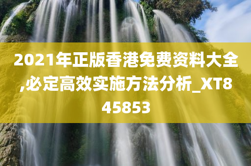 2021年正版香港免费资料大全,必定高效实施方法分析_XT845853