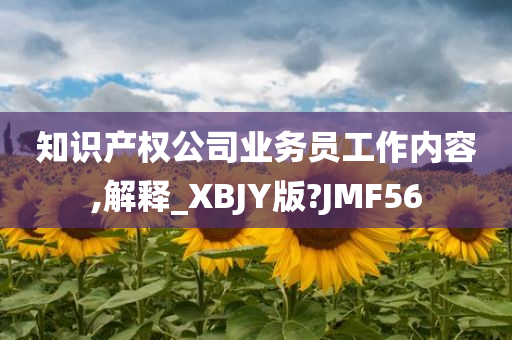 知识产权公司业务员工作内容,解释_XBJY版?JMF56