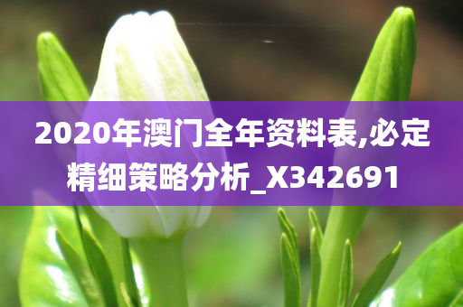 2020年澳门全年资料表,必定精细策略分析_X342691