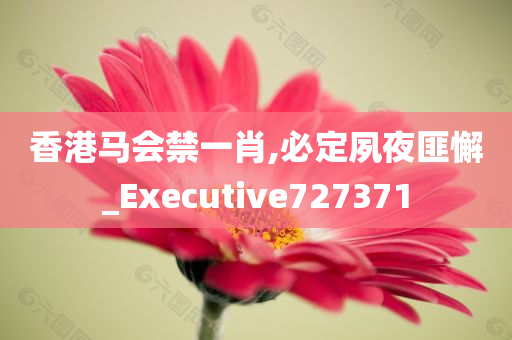 香港马会禁一肖,必定夙夜匪懈_Executive727371