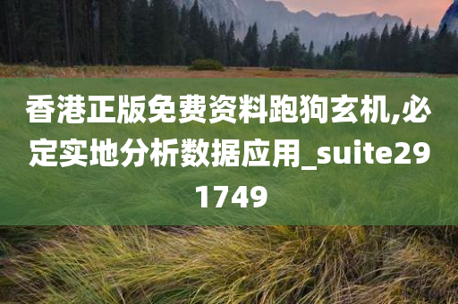 香港正版免费资料跑狗玄机,必定实地分析数据应用_suite291749