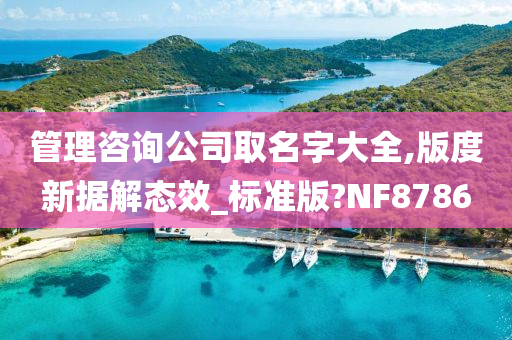 管理咨询公司取名字大全,版度新据解态效_标准版?NF8786