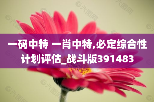 一码中特 一肖中特,必定综合性计划评估_战斗版391483