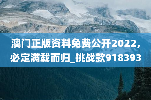 澳门正版资料免费公开2022,必定满载而归_挑战款918393