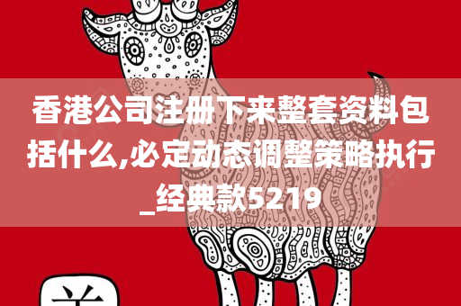 香港公司注册下来整套资料包括什么,必定动态调整策略执行_经典款5219