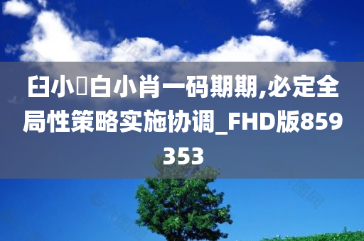 臼小爼白小肖一码期期,必定全局性策略实施协调_FHD版859353