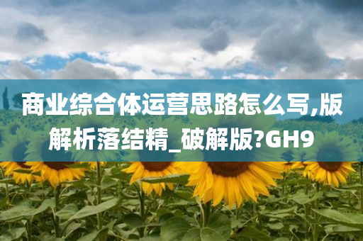 商业综合体运营思路怎么写,版解析落结精_破解版?GH9