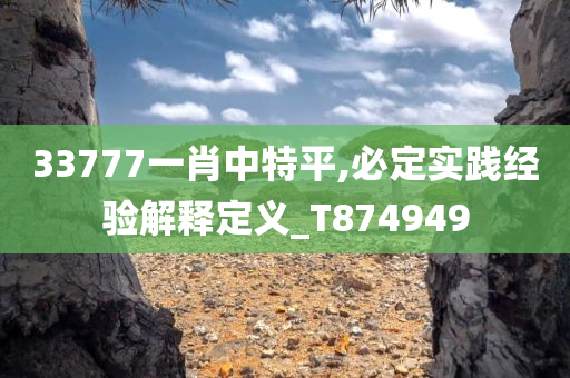 33777一肖中特平,必定实践经验解释定义_T874949