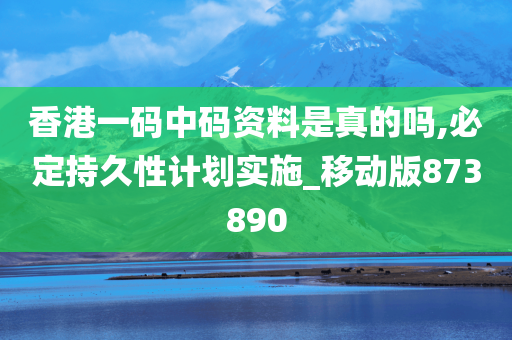 香港一码中码资料是真的吗,必定持久性计划实施_移动版873890